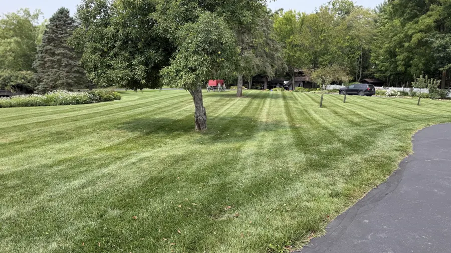 Freshly mowed lawn with sharp stripes at a home in Ann Arbor, Michigan