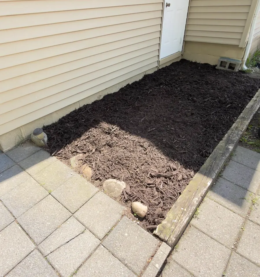 Freshly mulched garden bed in Ann Arbor, Michigan