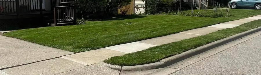 Crisp edging along a sidewalk and curb in Ann Arbor, Michigan