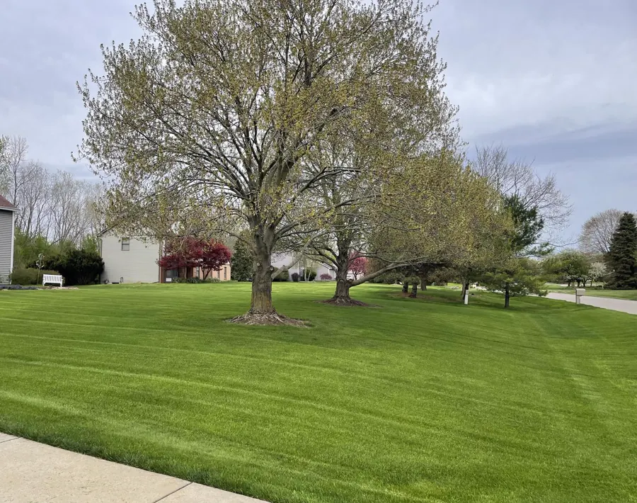 Clean striped lawn mowing result in Ann Arbor, Michigan