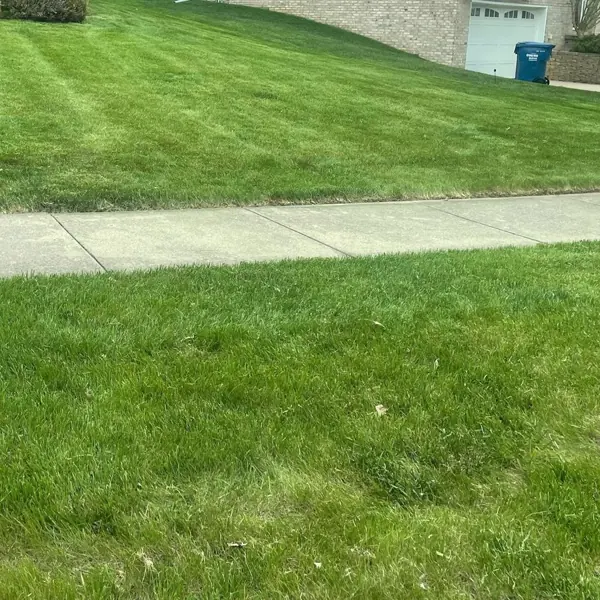 Lawn mowing result beside a driveway and garage in Ann Arbor, Michigan