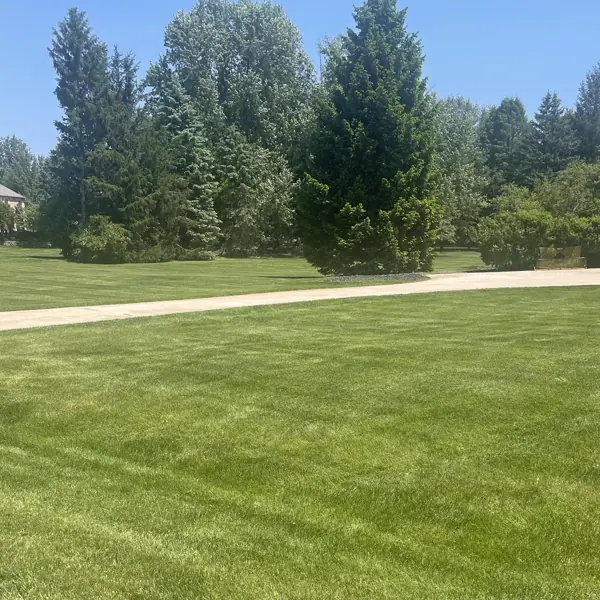 Freshly mowed lawn beside a driveway in Ann Arbor, Michigan