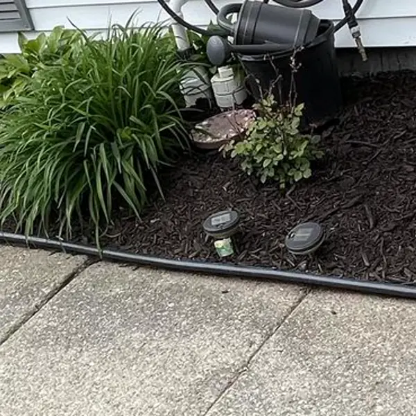 Tidy garden bed maintenance in Ann Arbor, Michigan