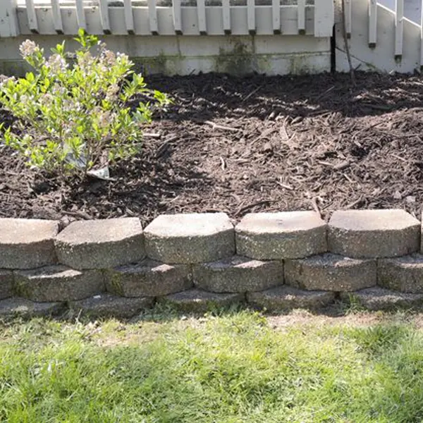 Fresh mulch in a garden bed in Ann Arbor, Michigan