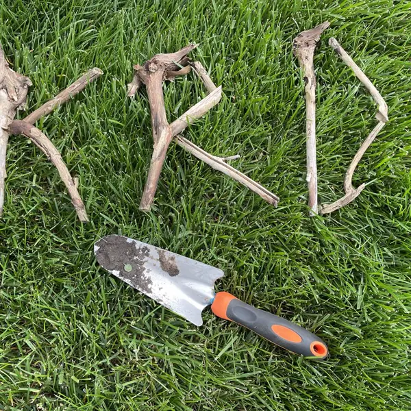 KRD spelled out with twigs on a lawn in Ann Arbor, Michigan