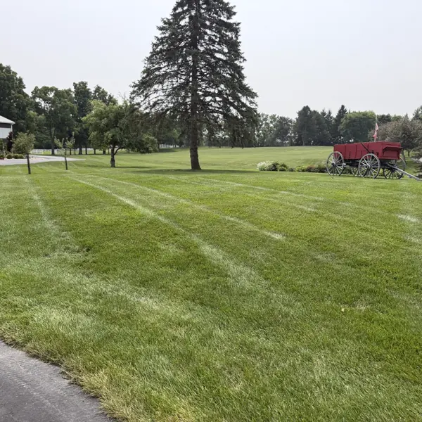 Large property lawn mowing stripes in Ann Arbor, Michigan