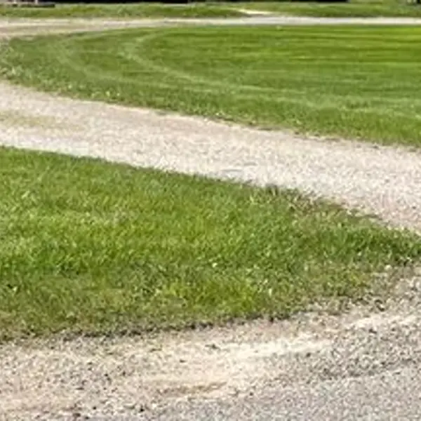 Lawn care result in Ann Arbor, Michigan