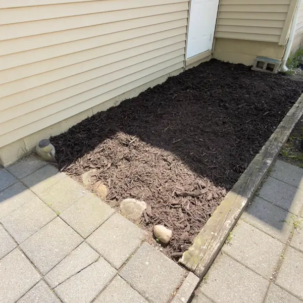 Lawn care result in Ann Arbor, Michigan