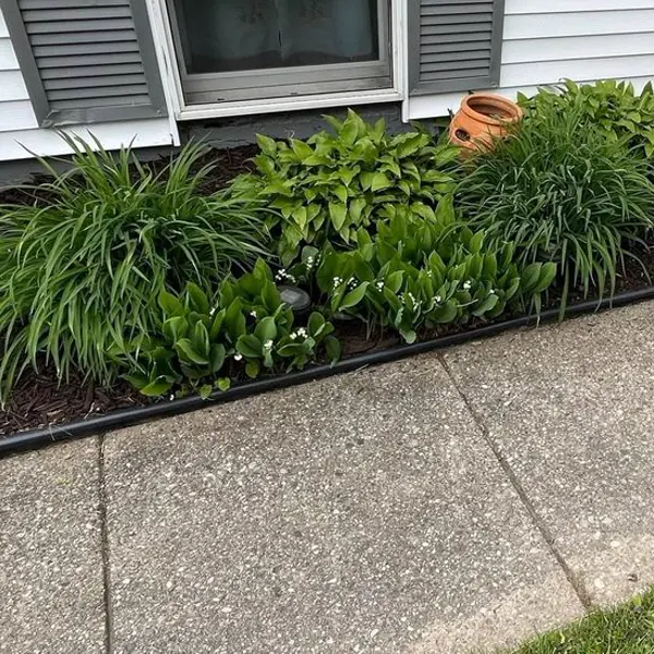 Lawn care result in Ann Arbor, Michigan