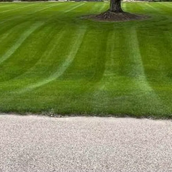 Lawn care result in Ann Arbor, Michigan