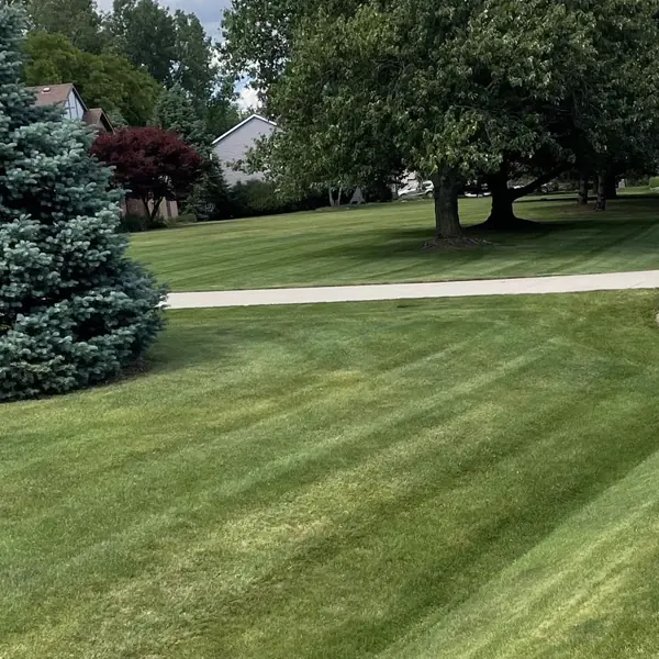 Residential lawn mowing result in Ann Arbor, Michigan