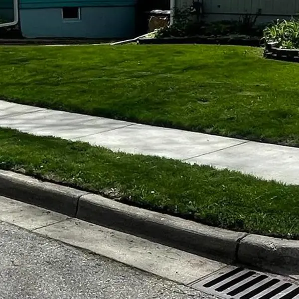 Crisp sidewalk edging in Ann Arbor, Michigan