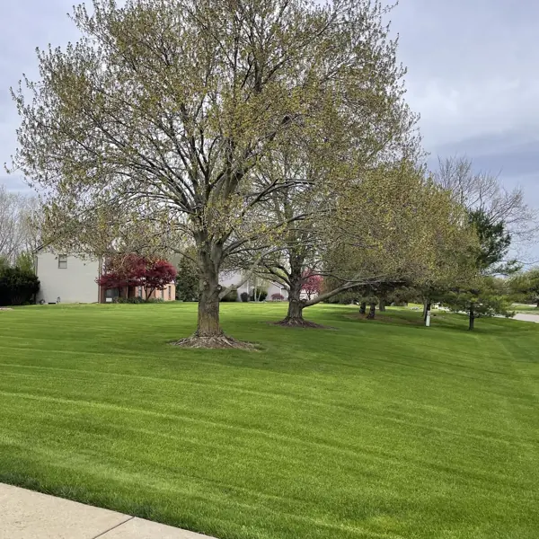 Wide striped lawn mowing result in Ann Arbor, Michigan