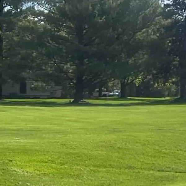 Yard care result in Ann Arbor, Michigan