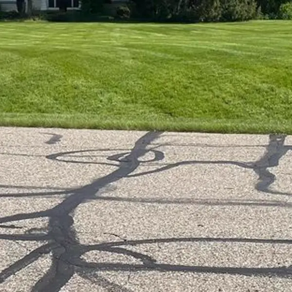 Yard care result in Ann Arbor, Michigan